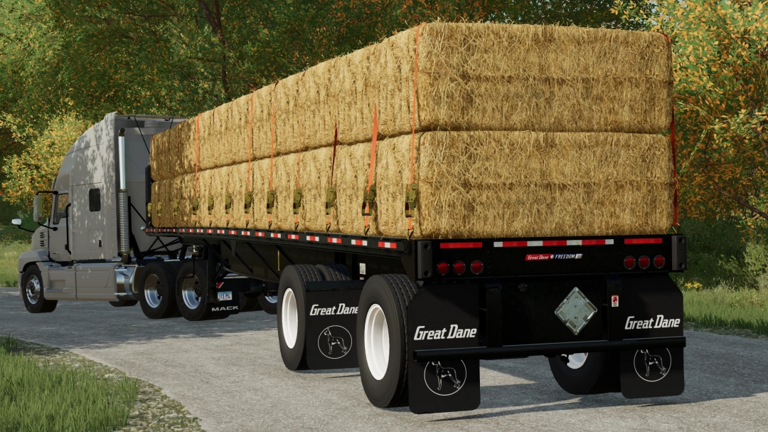 GREAT DANE FREEDOM LT Autoload v1.0.0.1