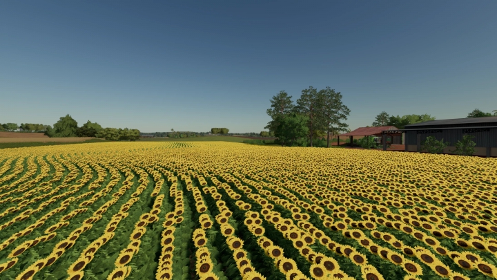 Image: FARMINOPOLIS MAP ROWCROP v1.0.0.0 4