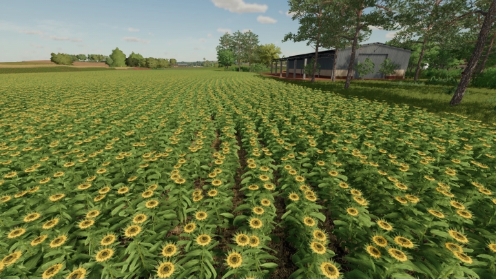 Image: FARMINOPOLIS MAP ROWCROP v1.0.0.0 3