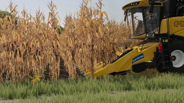 Image: New Holland 980 CF6 v1.0.0.0 2