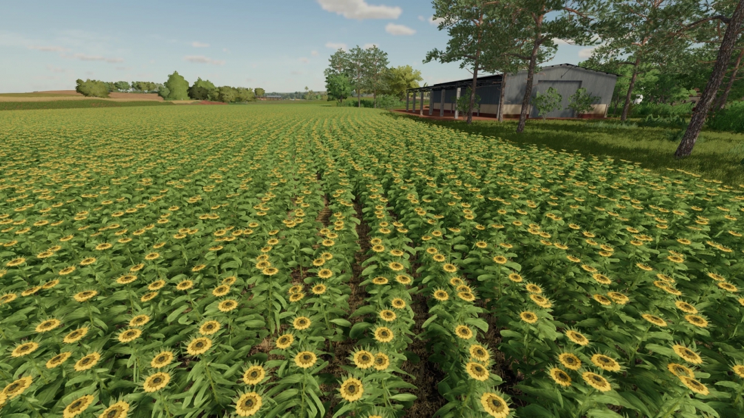 FARMINOPOLIS MAP ROWCROP v1.0.0.0