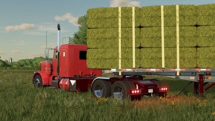 Image: Peterbilt 379 v1.0.0.0 9