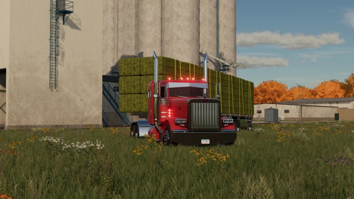 Image: Peterbilt 379 v1.0.0.0 0