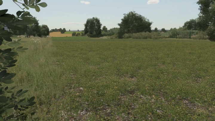 fs22-mods, Oil Seed Radish Texture v1.0.0.0