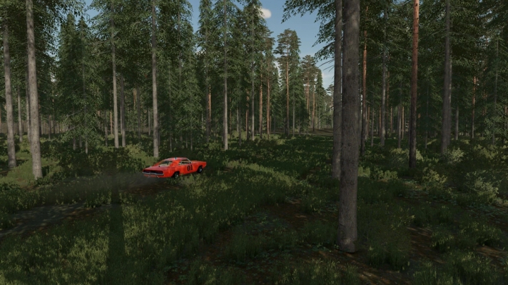 Image: The Rainy Woods v1.0.0.0 0