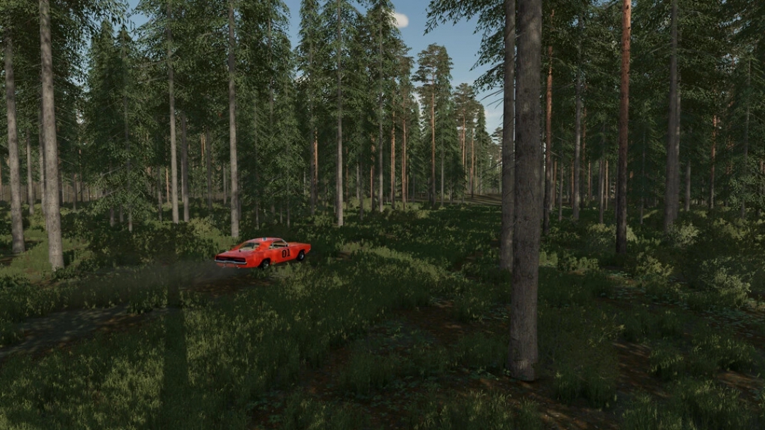 The Rainy Woods v1.0.0.0