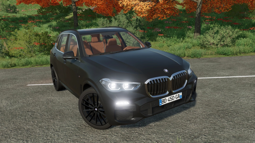 BMW X5M 30D 2019 v1.0.0.0