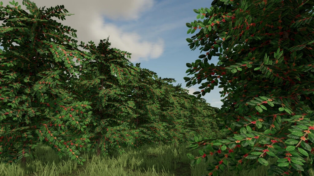 Recanto Da Alvorada Map v1.1.0.0