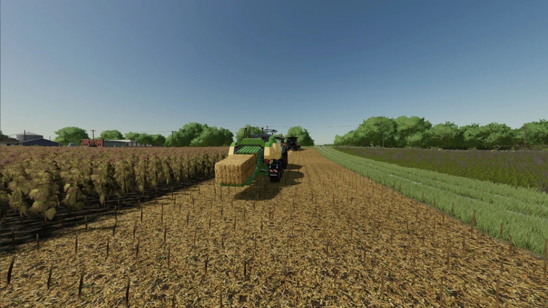 Extended Straw Crops v1.0.0.2