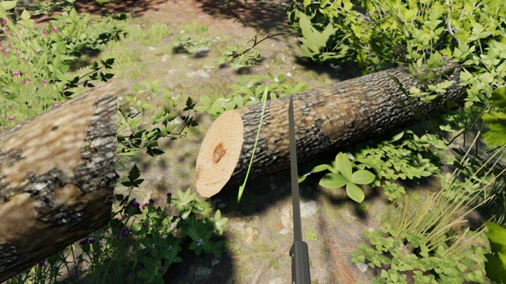 Image: Forest Machete v1.0.0.0