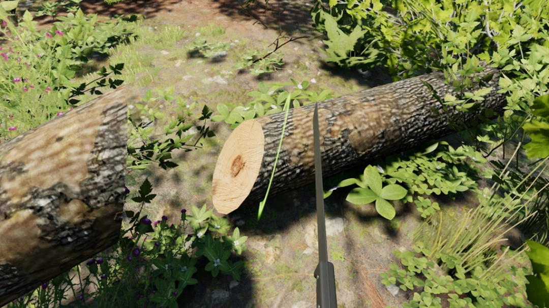 Forest Machete v1.0.0.0