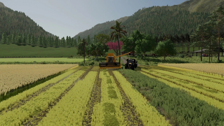 Image: Agro Sul Rice v1.0.0.0 4