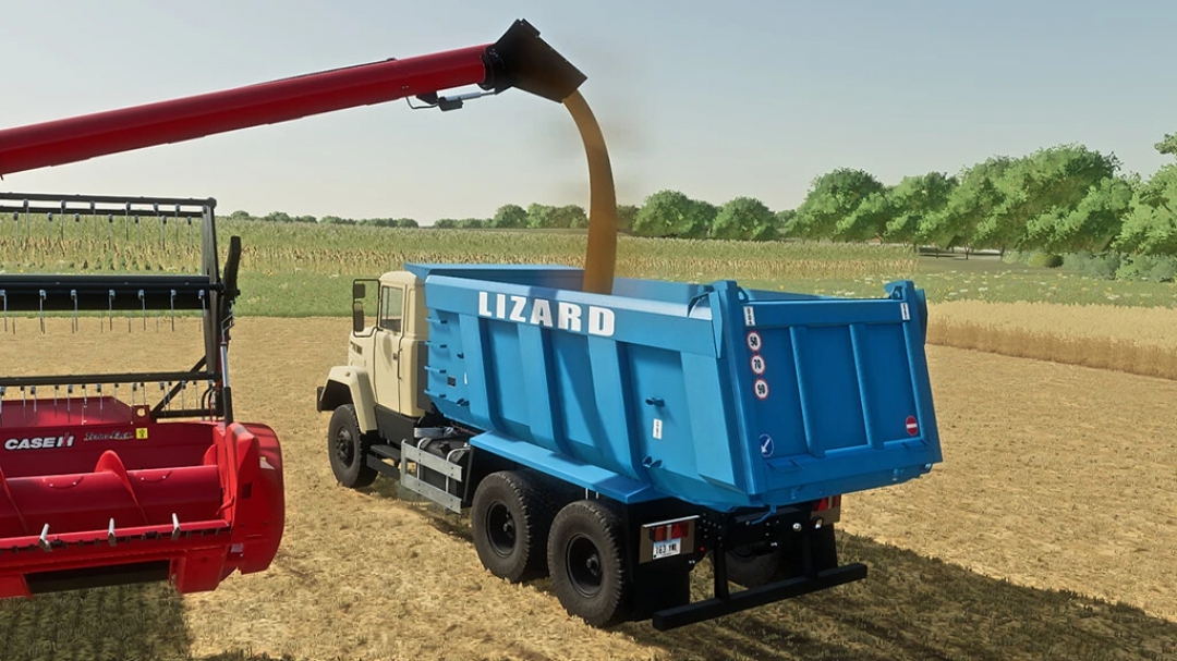 Lizard 65032 v1.0.0.0