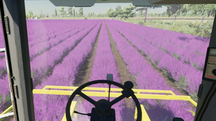 fs22-mods,  Lavender in Rows (Prefab) v1.0.0.0