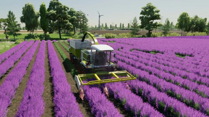 Image: Lavender in Rows (Prefab) v1.0.0.0 0