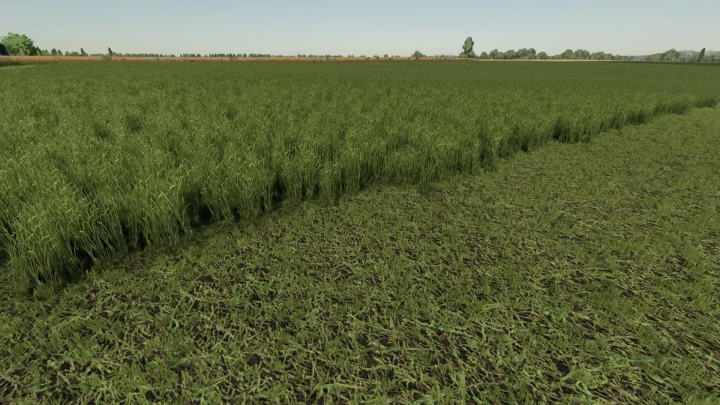 Image: Grass Texture v1.0.0.0 0