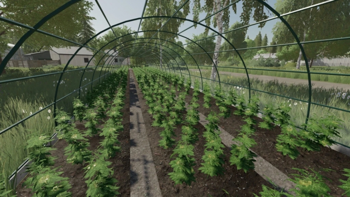 Image: Greenhouse v1.0.0.0 0