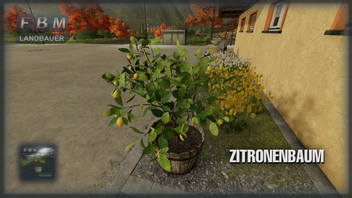 Image: Lemon Tree v1.0.0.0 3