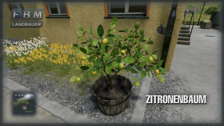 Image: Lemon Tree v1.0.0.0 0