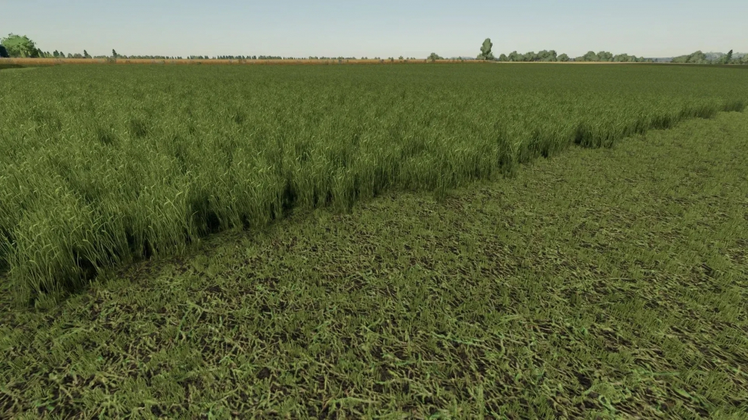 Grass Texture v1.0.0.0