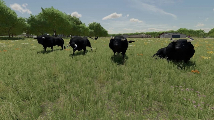 Image: Placeable Bulls v1.0.0.0 3