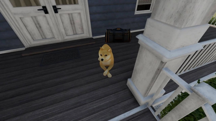 Image: Shiba Inu Doge Coin dog v1.0.0.0 2