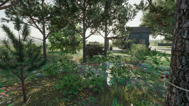 Image: Undergrowth Decorations v1.0.0.0 5