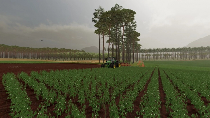 Image: Junges Farm v1.0.0.0 0