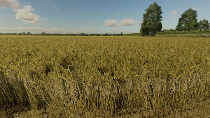 fs22-mods,  Wheat Texture v1.0.0.1