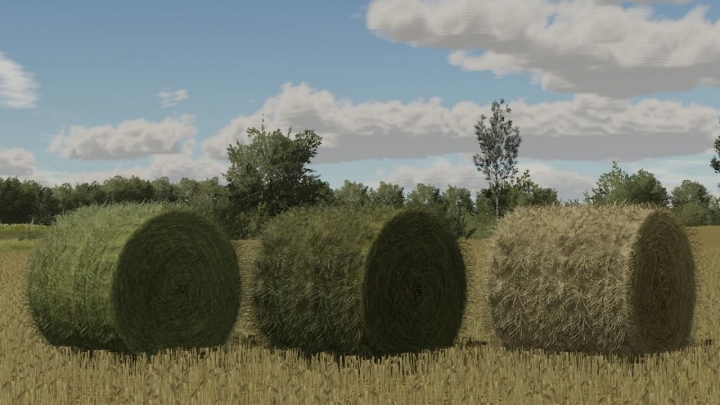 fs22-mods, image: Bale Texture v1.0.0.0