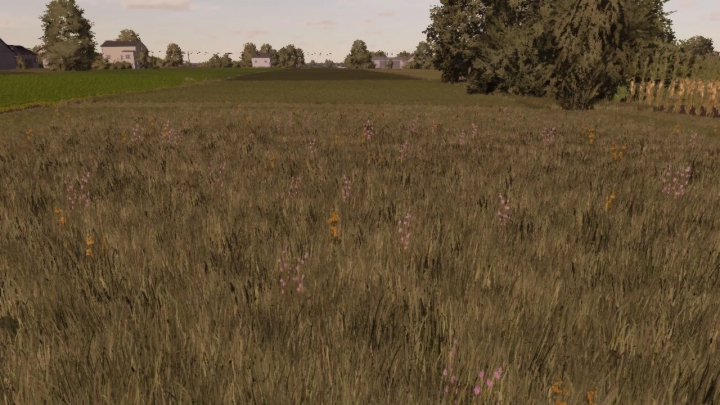 Image: Meadow Texture v1.0.0.0