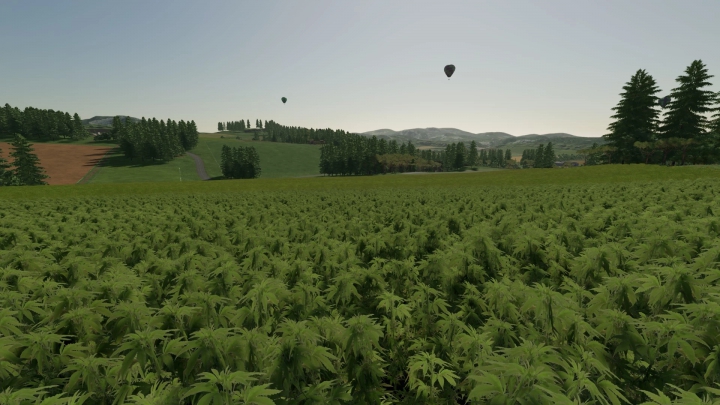 Image: Hemp Beyleron v1.0.0.0 2