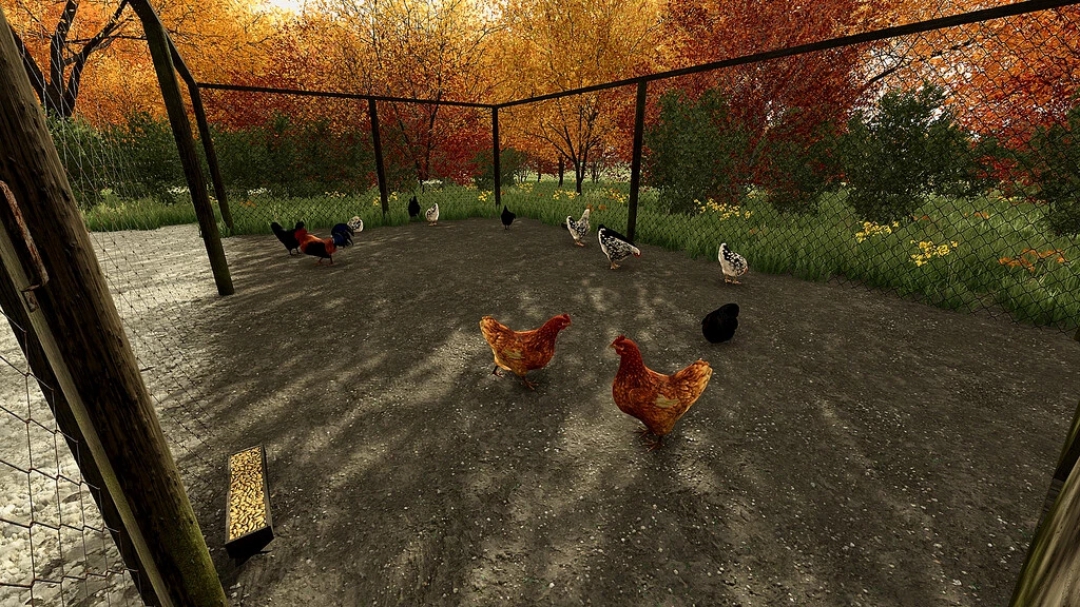 Chicken Barn v1.0.0.0