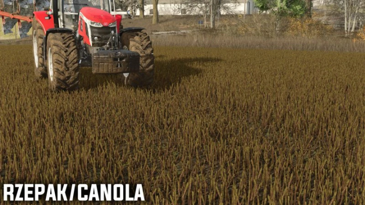 fs25-mods,  FS25 mod showing pressed stubble of canola crop with a tractor on the field. Farming Simulator 25 mods.