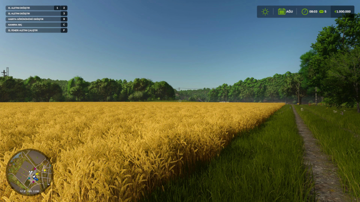 fs25-mods,  FS25 mods - Graphic Mod (Shader) enhancing a wheat field landscape in Farming Simulator 25.