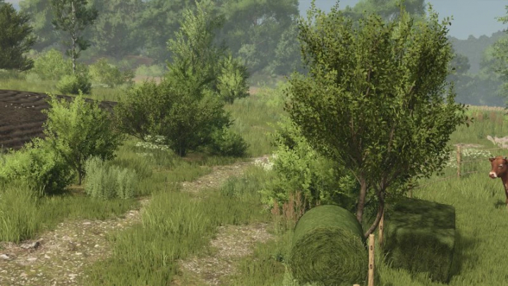 fs25-mods,  Weelderig groen in de FS25-mod Bush TEXTURE v1.0.0.0, met gedetailleerde struiken en landschapsteksturen in Farming Simulator 25.