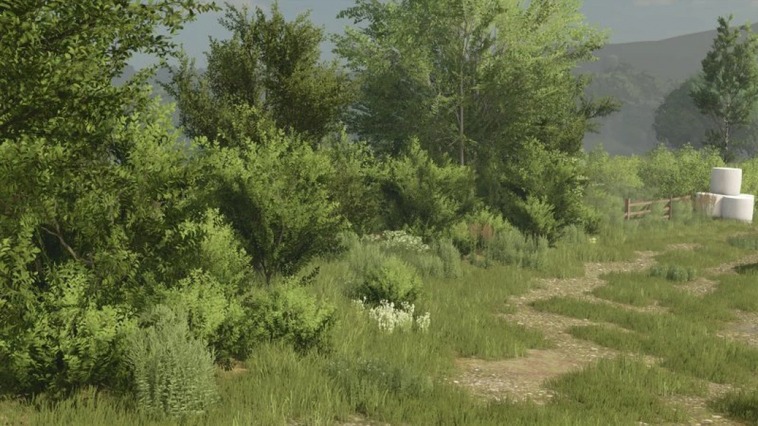 Schilderachtig landschap in FS25 mod Bush TEXTURE (DECOBUSH) v1.0.0.0, met levendig groen en een zandpad.