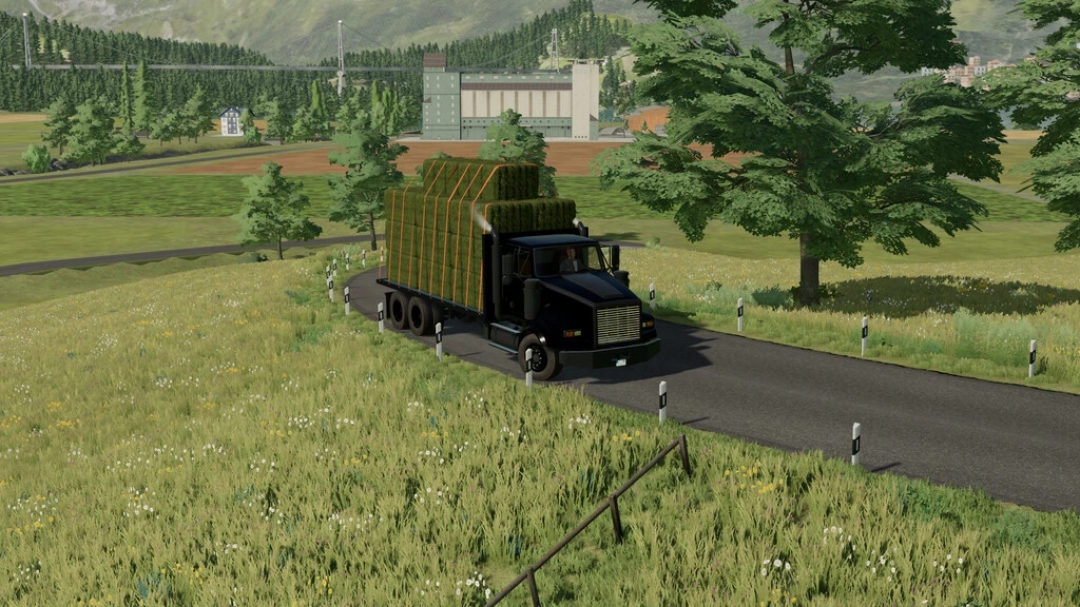 Lizard V340 Flatbed AutoLoad v1.0.0.0