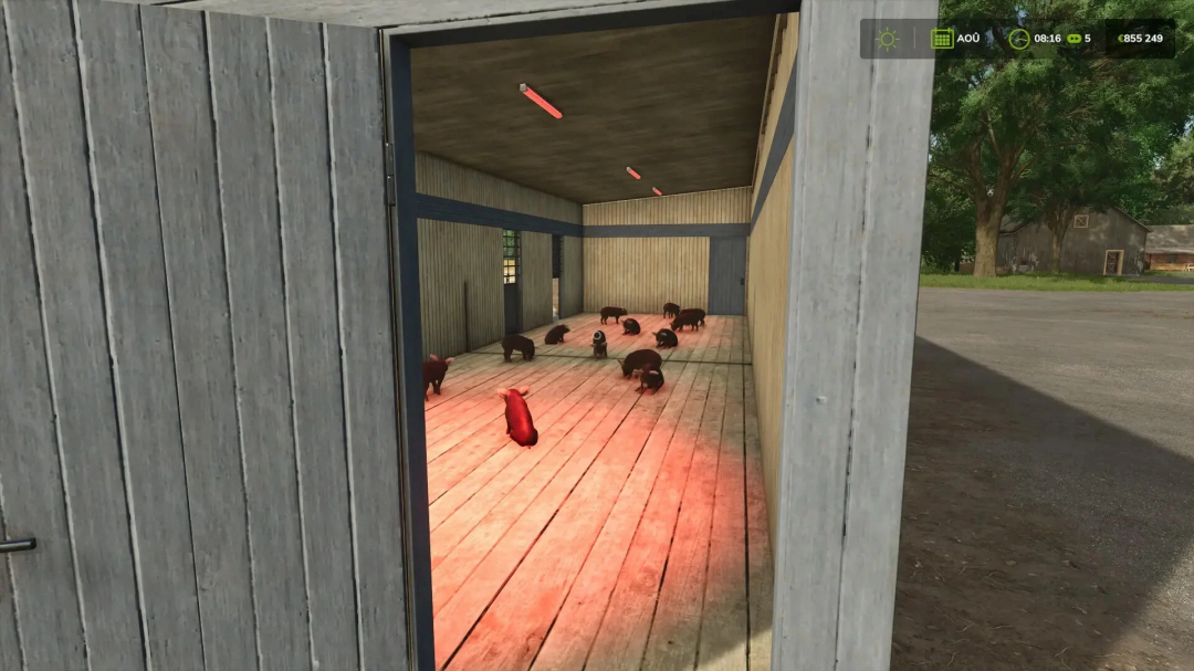 Interior view of a pig barn in FS25 mod, showcasing pigs under red lighting.