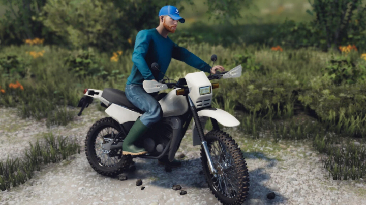 fs22-mods,  FS22 mod Lizard DT 125 1990 motorbike with rider in a grassy terrain.