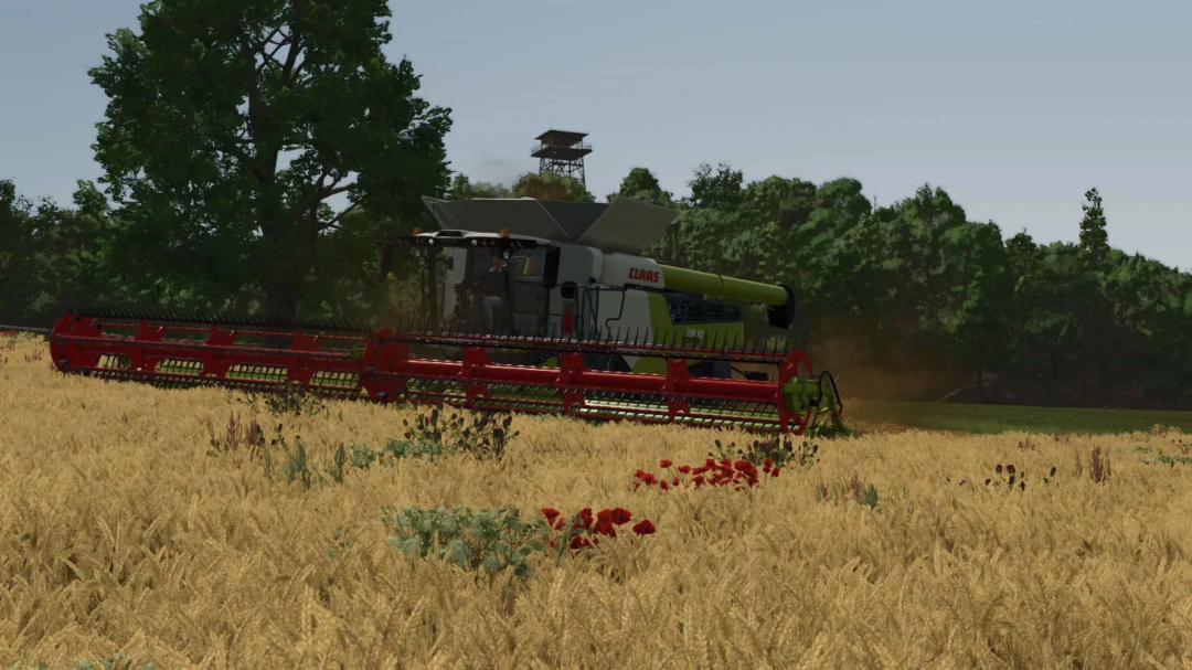 Colheitadeira Claas Lexion 6900/8000 19500L em um campo de trigo, exibição de mods FS25.