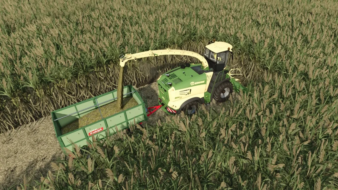 FS25 mod - Collect 900 oogst suikerrietveld met aanhanger. Farming Simulator 25 mods.