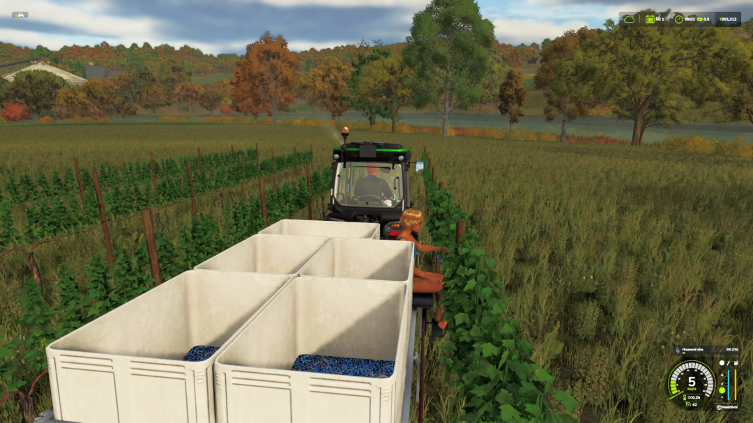 FS25 Vineyard harvesting with the Vine Hand Harvest Trailer mod, showcasing a tractor in a lush vineyard in Farming Simulator 25.