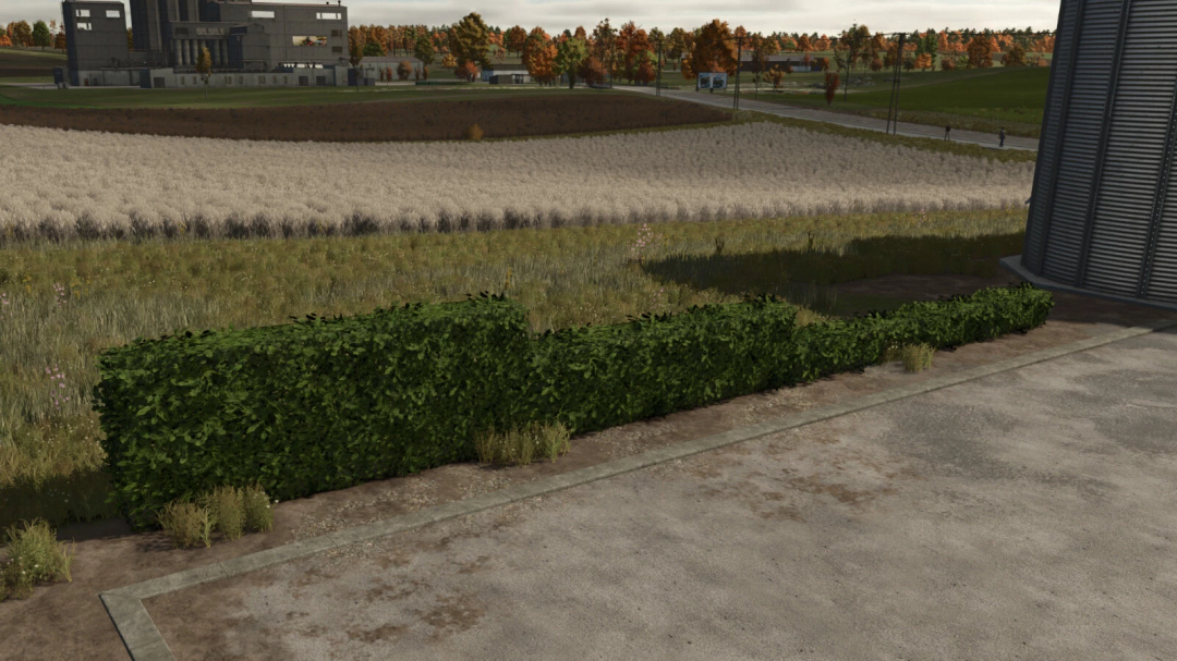 Placeable Hedges mod in FS25, featuring lush greenery next to a field, enhancing farm aesthetics.