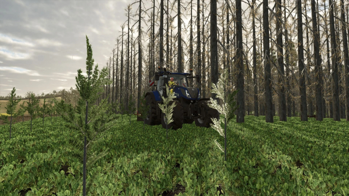 fs25-mods,  Mod FS25 No Tree Limit v1.0.0.0 avec un tracteur dans une forêt dense avec une végétation luxuriante.