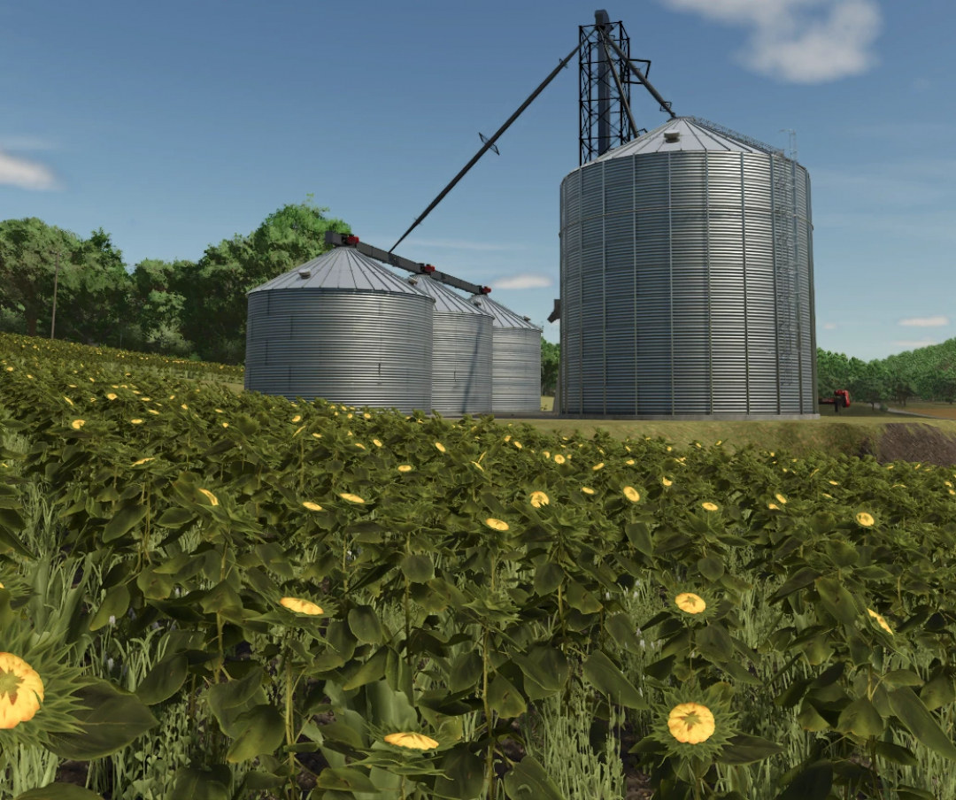 Medium Grain Leg setup v1.0.0.0 mod in FS25 with silos and sunflower field.