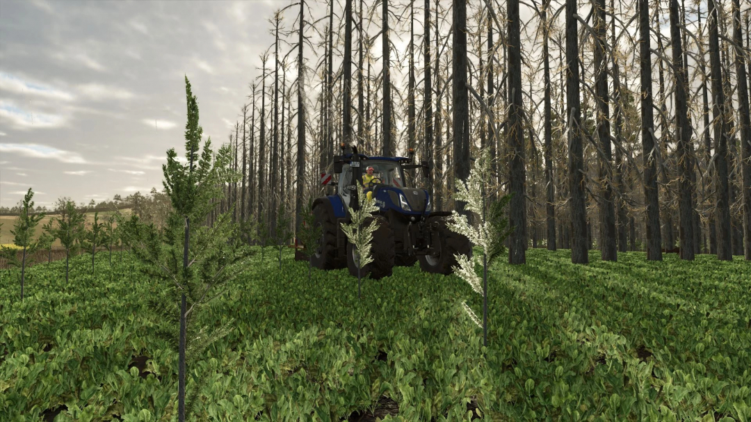 Mod FS25 No Tree Limit v1.0.0.0 avec un tracteur dans une forêt dense avec une végétation luxuriante.