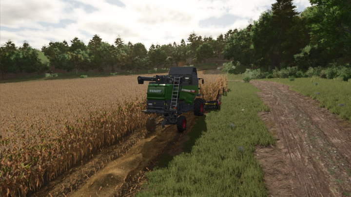 fs25-mods,  FS25 mod Extended Straw Crops v1.0.0.0: Harvester working in a cornfield. Farming Simulator 25 mods enhance game realism.