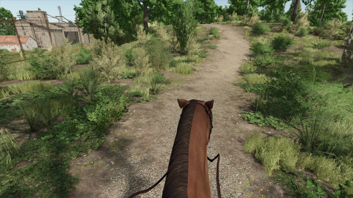 fs25-mods,  First-person view of horse riding in FS25 mod, showing forest path and greenery. First Person Horse Riding Camera v1.0.0.0.