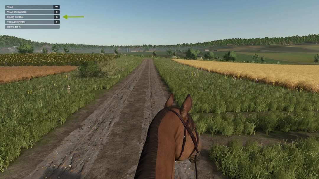 First Person Horse Riding Camera mod in FS25 showing a rider's view on a dirt path between fields.